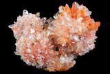 Orange Creedite Crystal Cluster - Durango, Mexico #79384-1